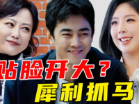 娱乐圈的吃瓜影帝笔趣阁小说,娱乐圈幕后风云录