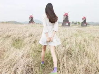 娱乐吃瓜酱背影图片,一场视觉与情感的邂逅