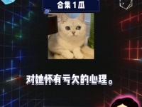 娱乐吃瓜最新一期,揭秘最新一期热点事件，明星幕后故事大揭秘！