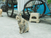 娱乐718吃瓜速看天气,吃瓜速看，天气与娱乐圈的奇妙碰撞