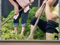 八卦娱乐是吃瓜群众的,揭秘吃瓜群众的狂欢盛宴