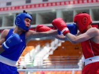 吃瓜娱乐拳击比赛视频,吃瓜群众视角下的精彩对决