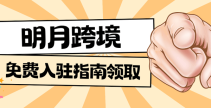 2025年值得去做的跨境电商平台合集！—
