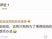 吃瓜娱乐地理,揭秘娱乐圈背后的故事与热点