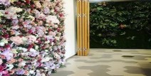 可不止军事层面那么方便！及比特币大涨打破84000美元加密商场全线飙升及美副总统“劝降”格陵兰岛特朗普：务必拿下？比特币跌破78万美元超28万人爆仓及美国何以这么想获得格陵兰岛