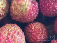 娱乐吃瓜酱荔枝视频,娱乐吃瓜酱带你揭秘娱乐圈幕后故事