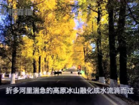 娱乐吃瓜君17,揭秘娱乐圈最新热点事件