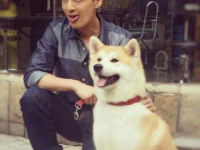 娱乐吃瓜君胡歌,娱乐圈的吃瓜传奇，揭秘明星背后的故事