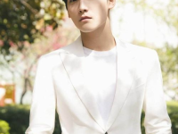 爱豆吃瓜娱乐酱邢昭林,从爱豆到吃瓜娱乐酱的华丽转身