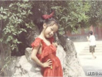 吃瓜娱乐圈贵妃是谁,揭秘娱乐圈神秘新贵