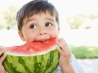 娱乐吃瓜君吐槽二豆,二豆事件真相揭秘